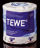 TEWE-16.jpg (35 KB)